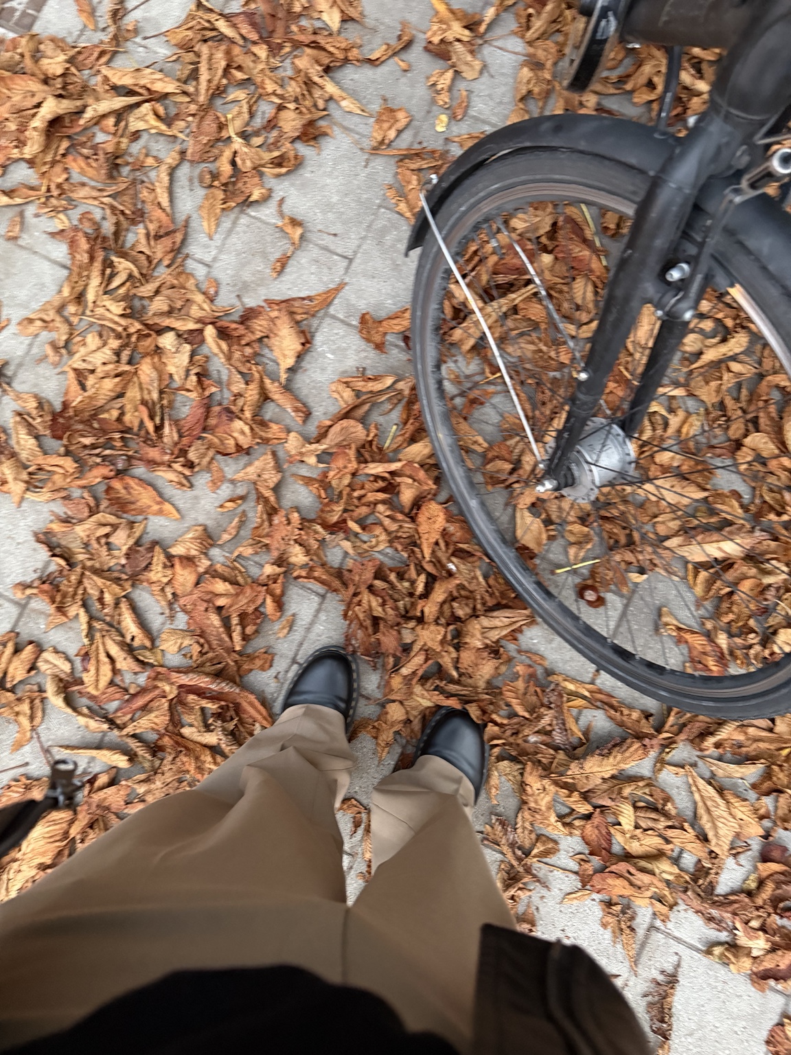 Fallen autumn leaves beside one of Belgium’s bicycles
