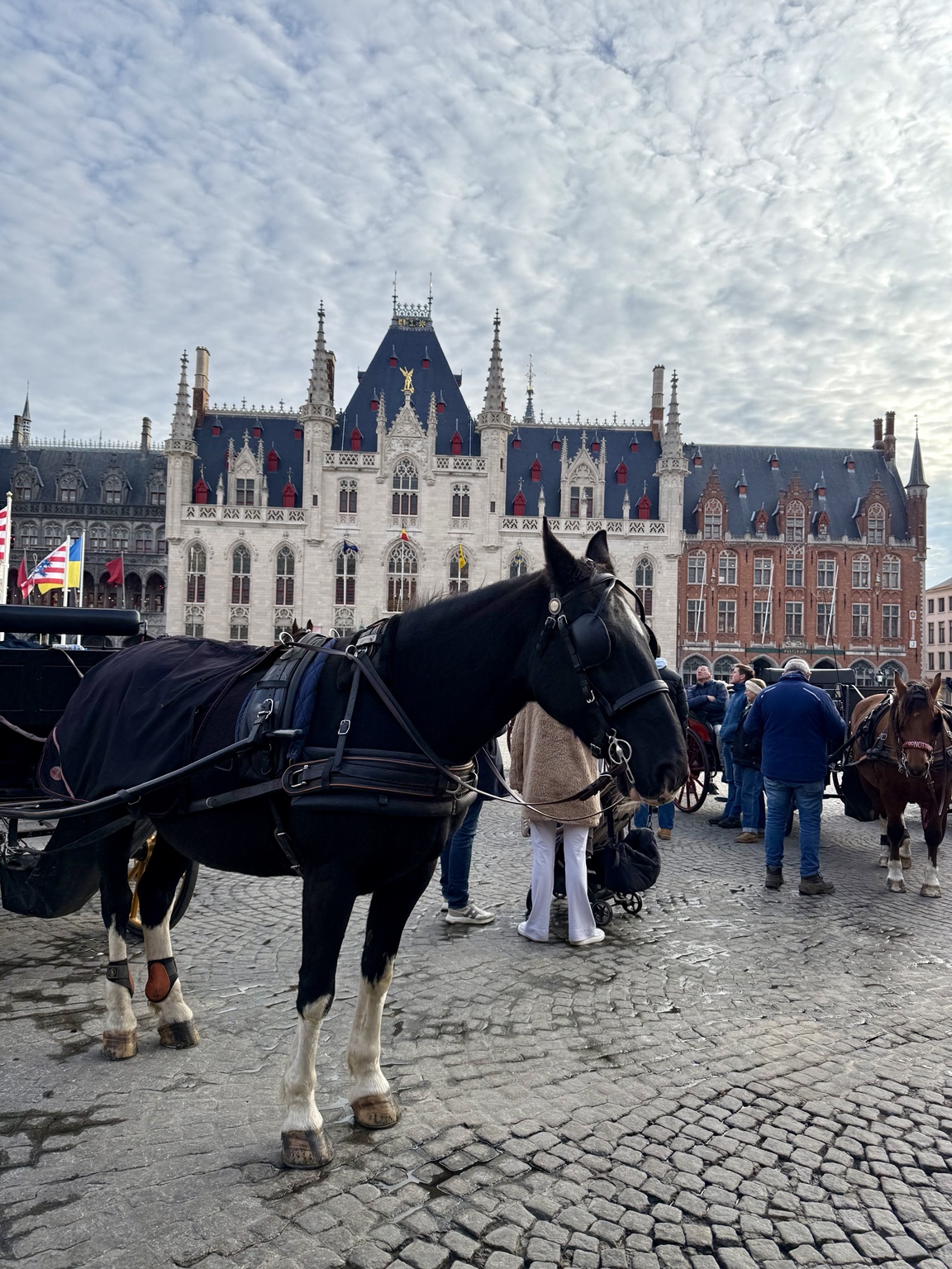 A horse-drawn carriage in the historic heart of Bruges