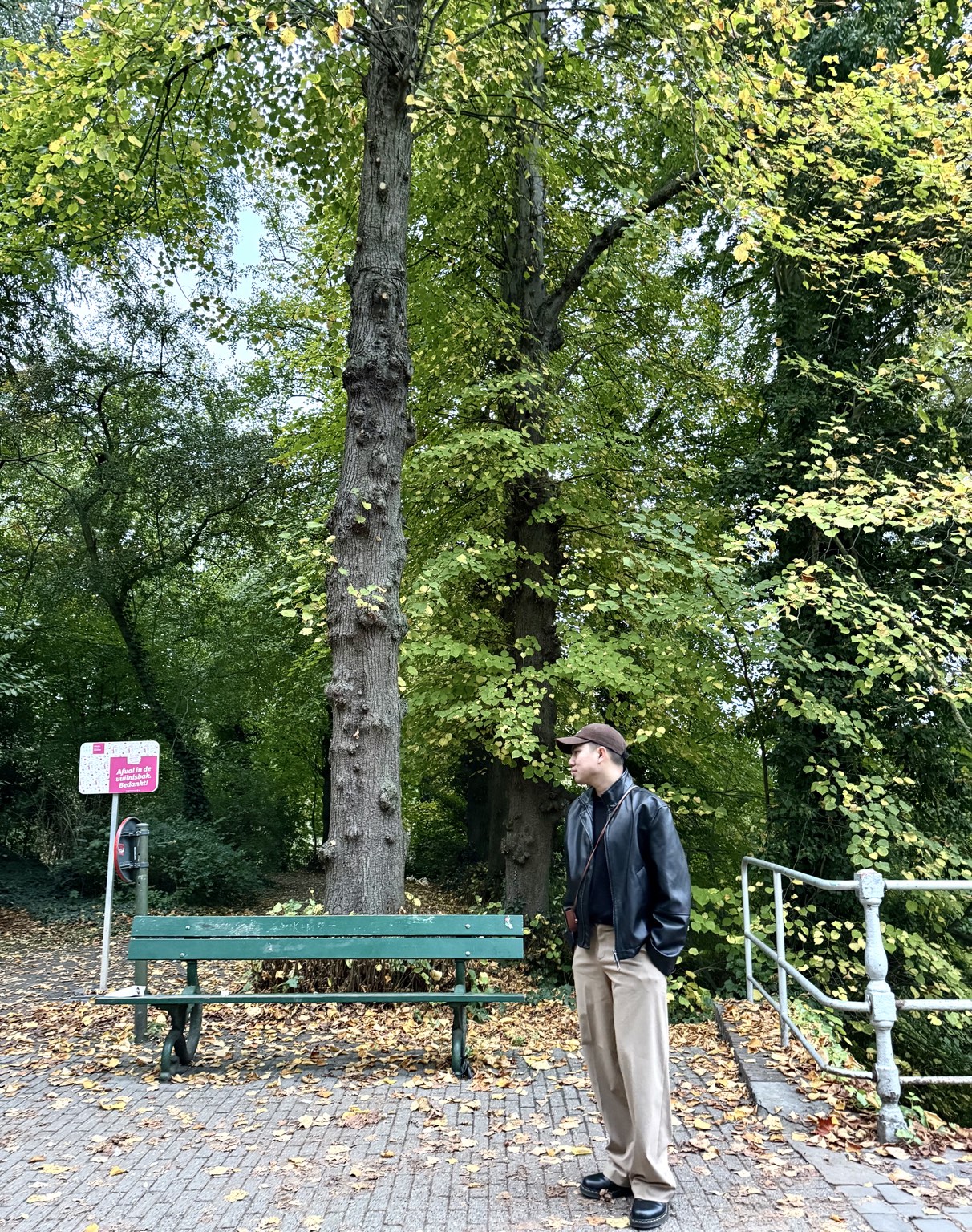 A quiet moment beneath Belgium’s autumn trees