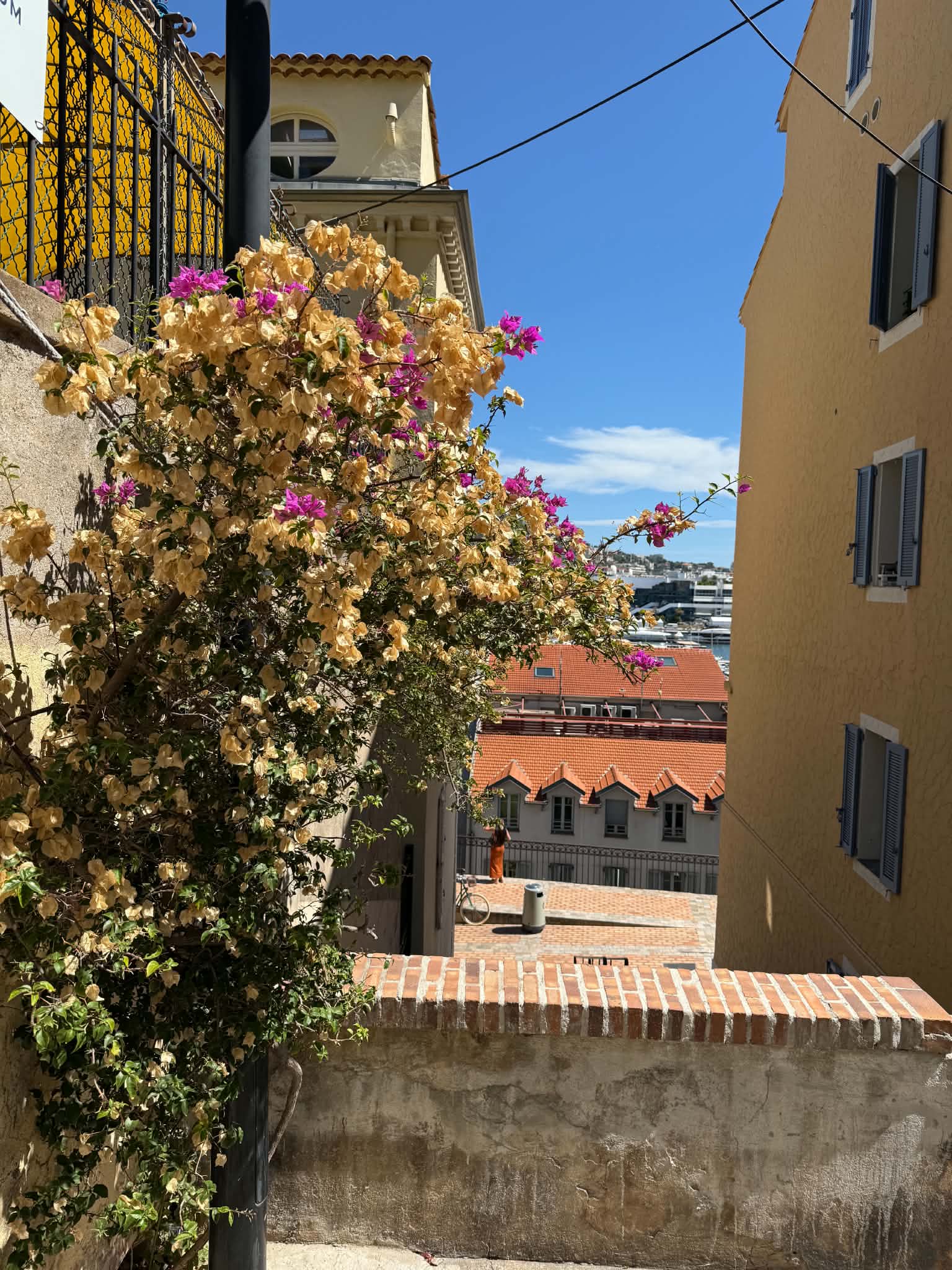 A flower-lined lane under the southern French sun